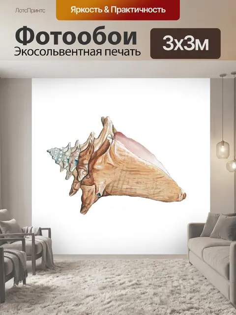 Фотообои Морская ракушка клипарт винтажное искусс