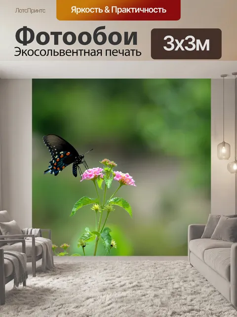 Фотообои Черный Махаон Бабочка