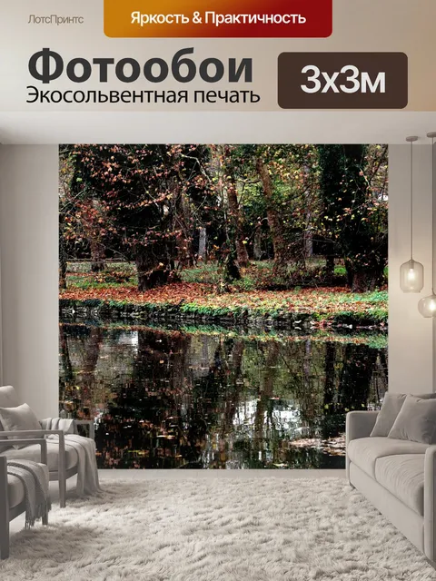 Фотообои Лес