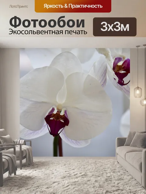 Фотообои Орхидеи Крупным планом