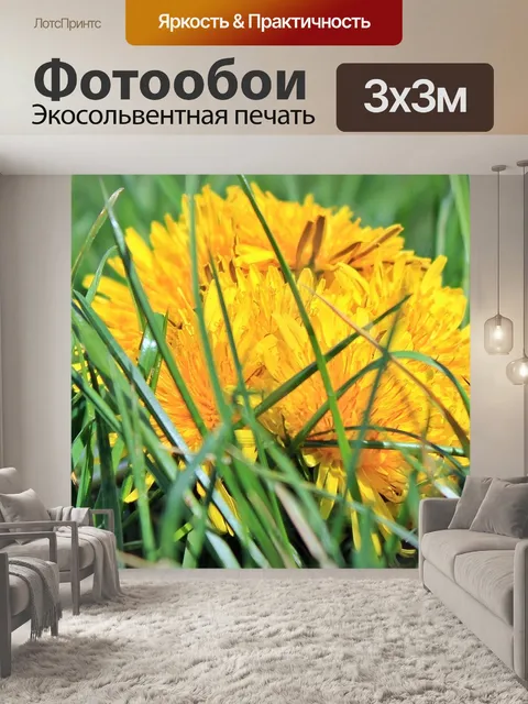 Фотообои Одуванчик