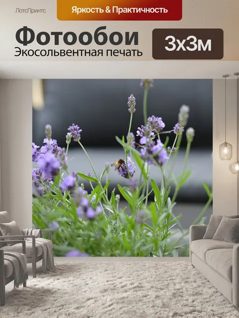 Фотообои Лаванда