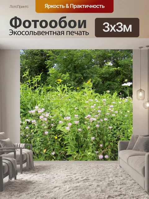 Фотообои Полевые цветы в поле