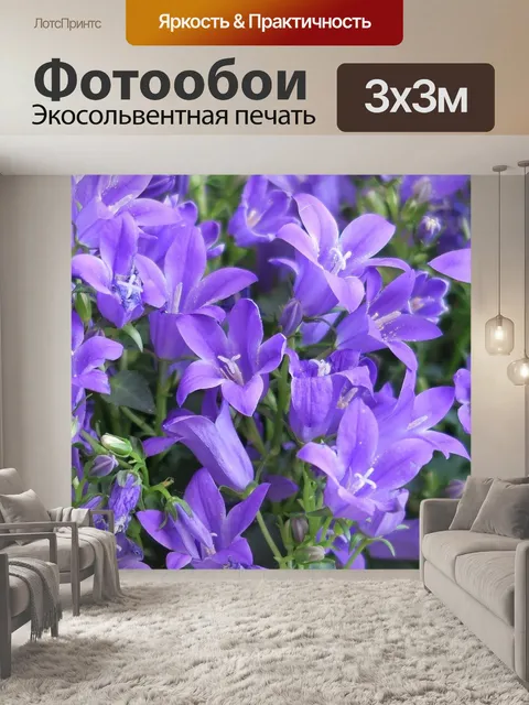 Фотообои Цветы