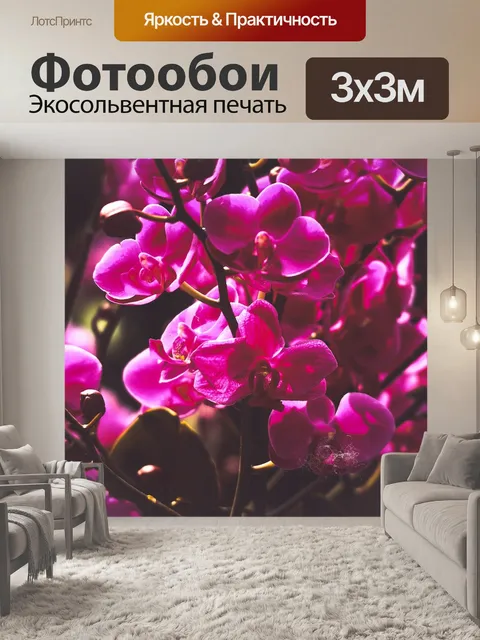 Фотообои Орхидея