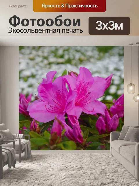 Фотообои Цветы