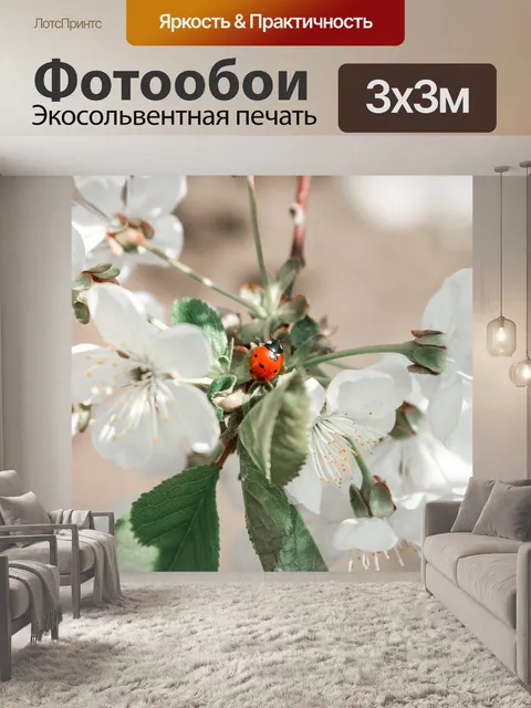 Фотообои Цветы