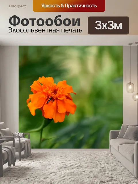 Фотообои Белый