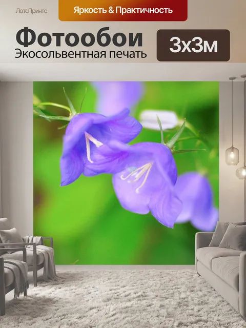 Фотообои Цветы