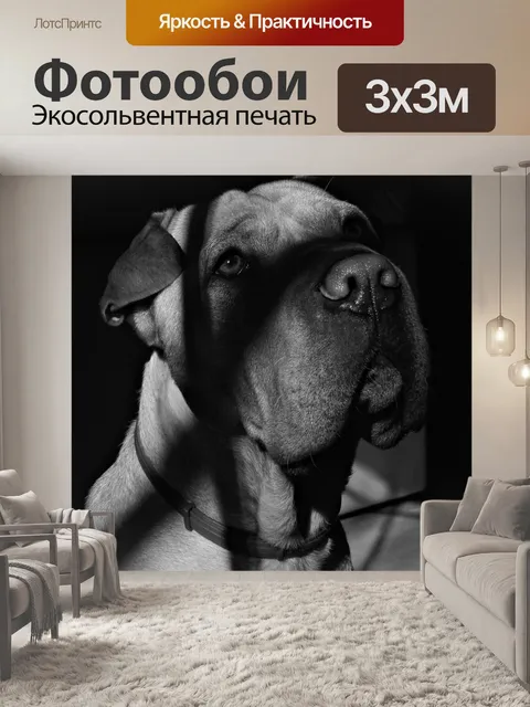 Фотообои Собака