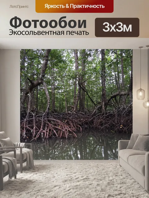 Фотообои Мангровые заросли