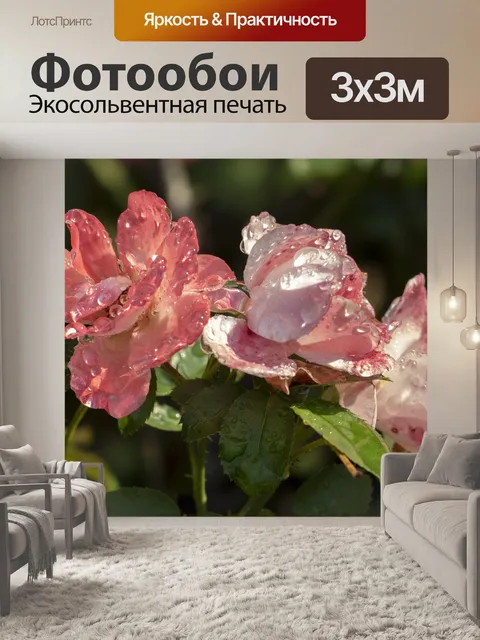 Фотообои Цветы