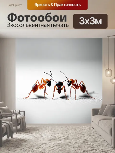 Фотообои стиль минимализма для изображения трех муравьев, протянувших своих усиков друг к другу на однотонном фоне