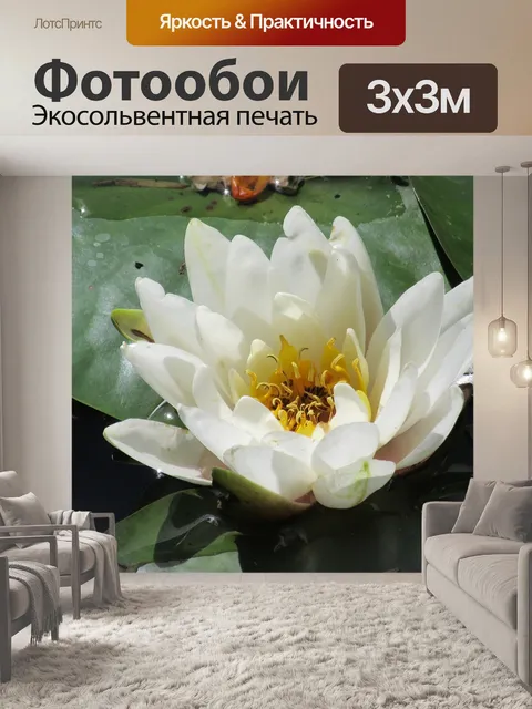 Фотообои Lake rose