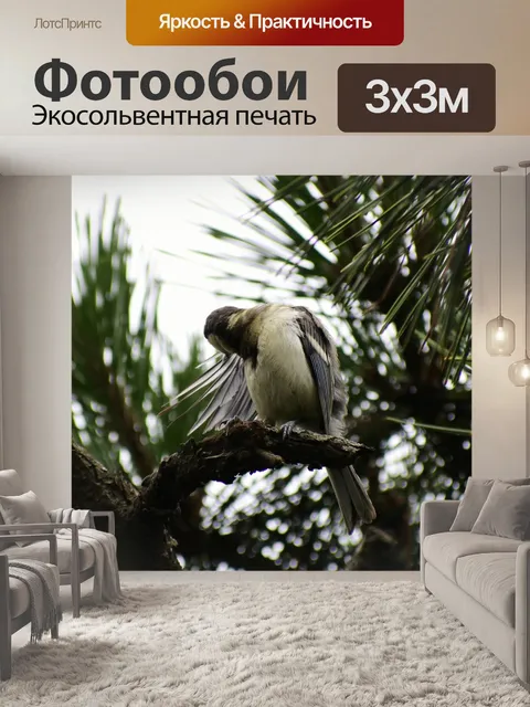 Фотообои Животное
