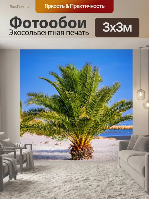 Фотообои Пальмы