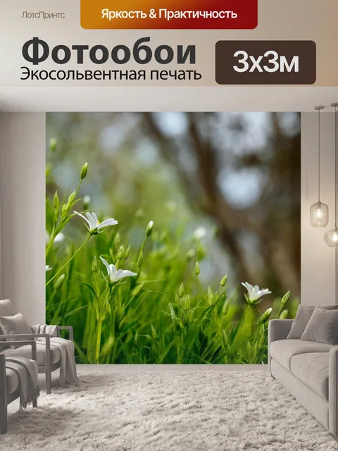 Фотообои Цветы