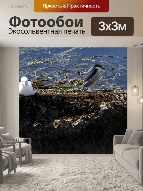 Фотообои Цапля и чайка