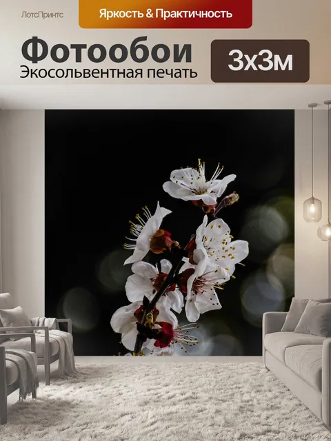 Фотообои Абрикос