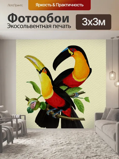 Фотообои Тукан Акварельная живопись