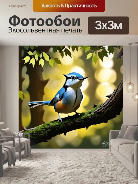 Фотообои молодой поползень исследует лесной полог в раннее утро