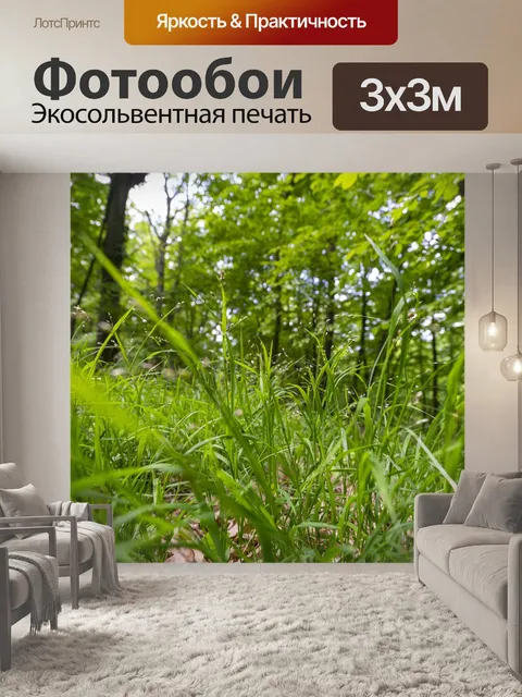 Фотообои Лес