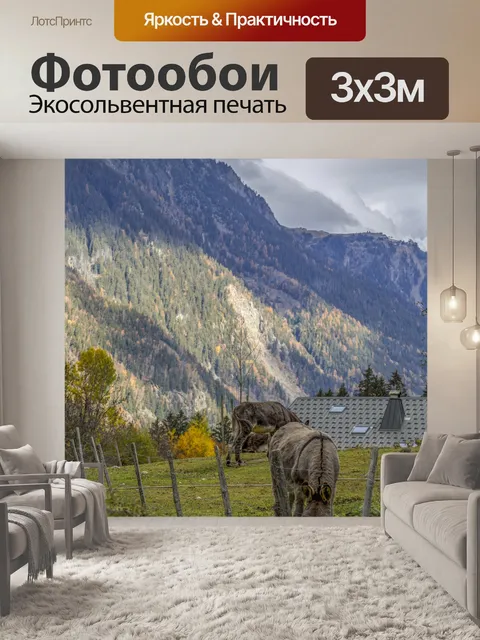 Фотообои Осел, пасущийся в горах