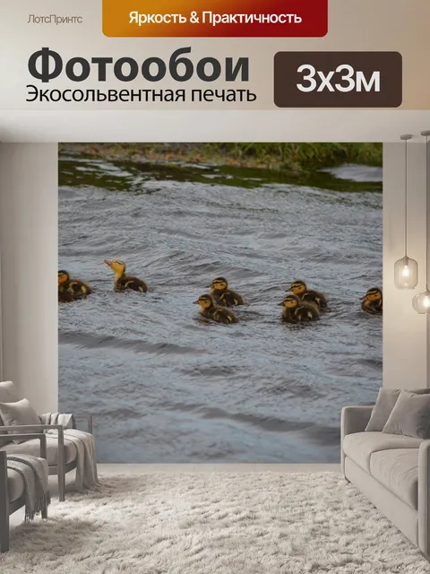 Фотообои На бурных водах
