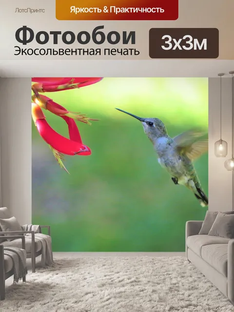 Фотообои Птица