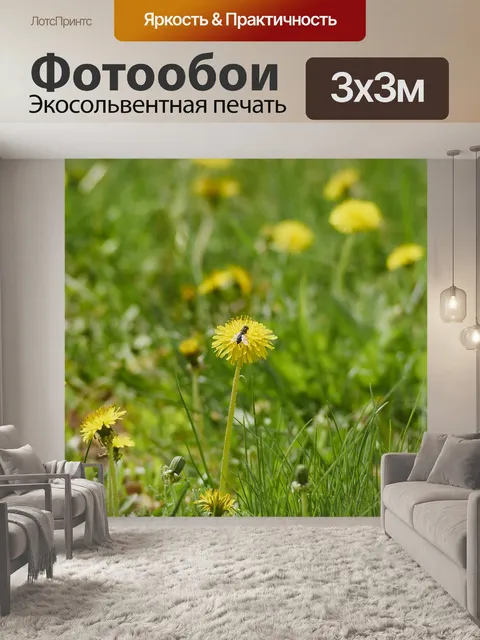 Фотообои Цветы