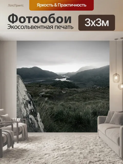 Фотообои Серый