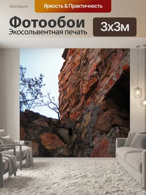 Фотообои вид сверху внешней стены по периметру