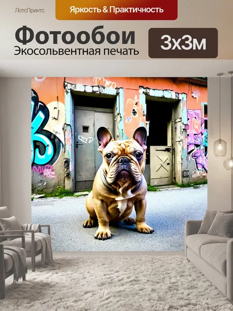 Фотообои французский бульдог на фоне старого заброшенного здания с граффити, стиль уличного искусства