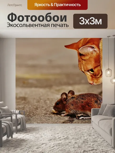 Фотообои Мышь