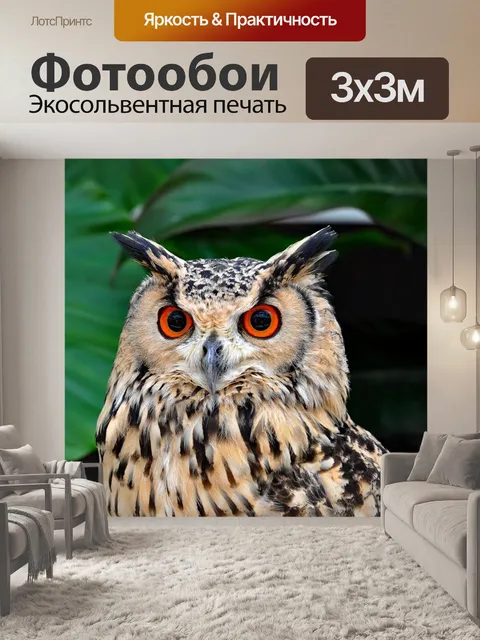 Фотообои Сова