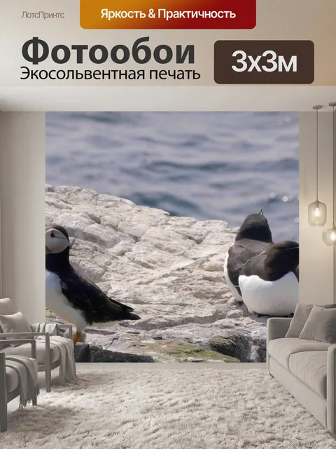 Фотообои Птицы
