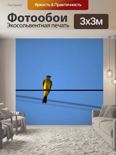 Фотообои Птица