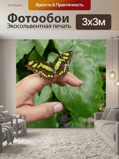 Фотообои Бабочка