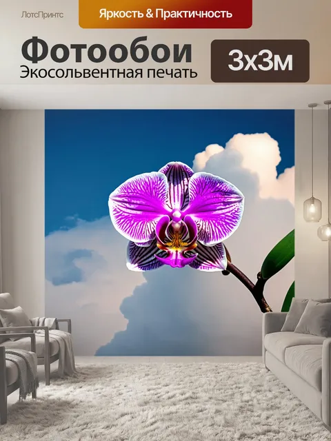 Фотообои орхидея, растущая среди небесных облаков
