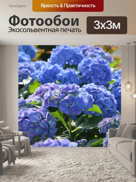 Фотообои Цветы гортензий голубых