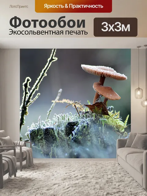 Фотообои Лес