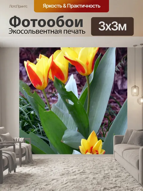 Фотообои Цветы