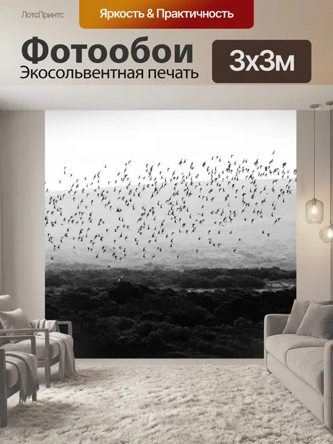 Фотообои Птица