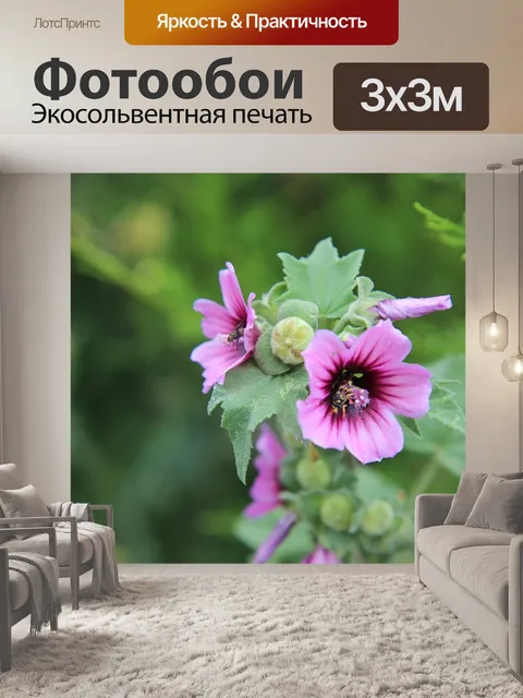 Фотообои Цветок