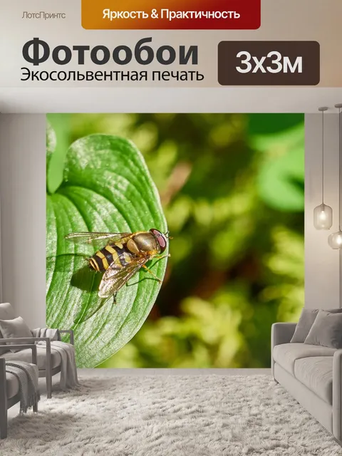 Фотообои Летать