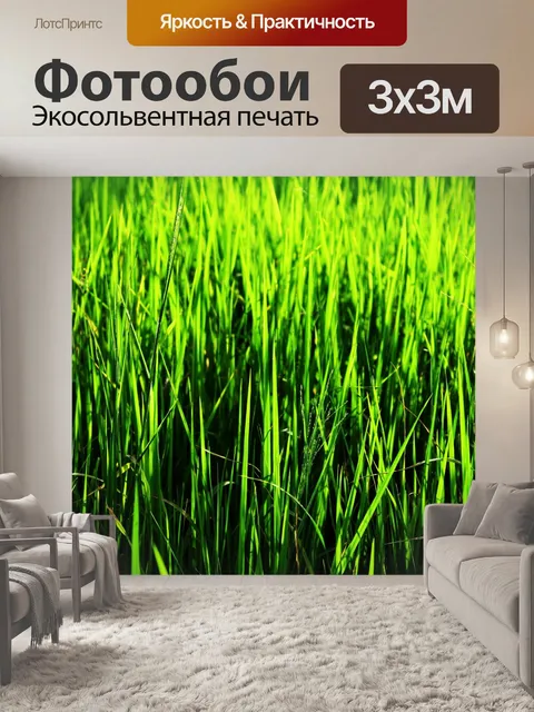 Фотообои Зеленое рисовое поле