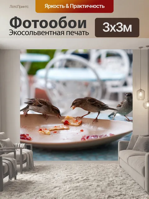 Фотообои Птица
