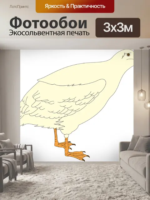 Фотообои Птица