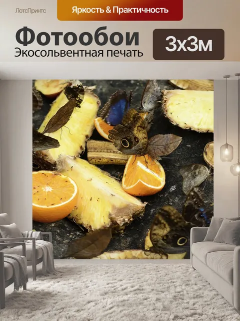 Фотообои Бабочки