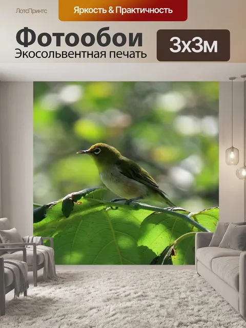 Фотообои Животное